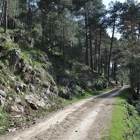 Nidos De Santa Maria Arroyo Frio