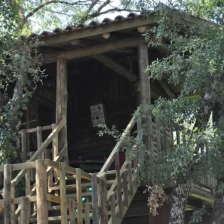 Nidos De Santa Maria Arroyo Frio